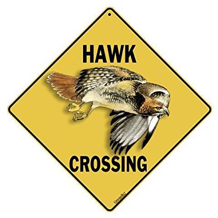 Hawk Crossing 12